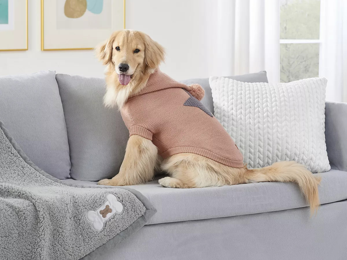 ugg bed for dogs