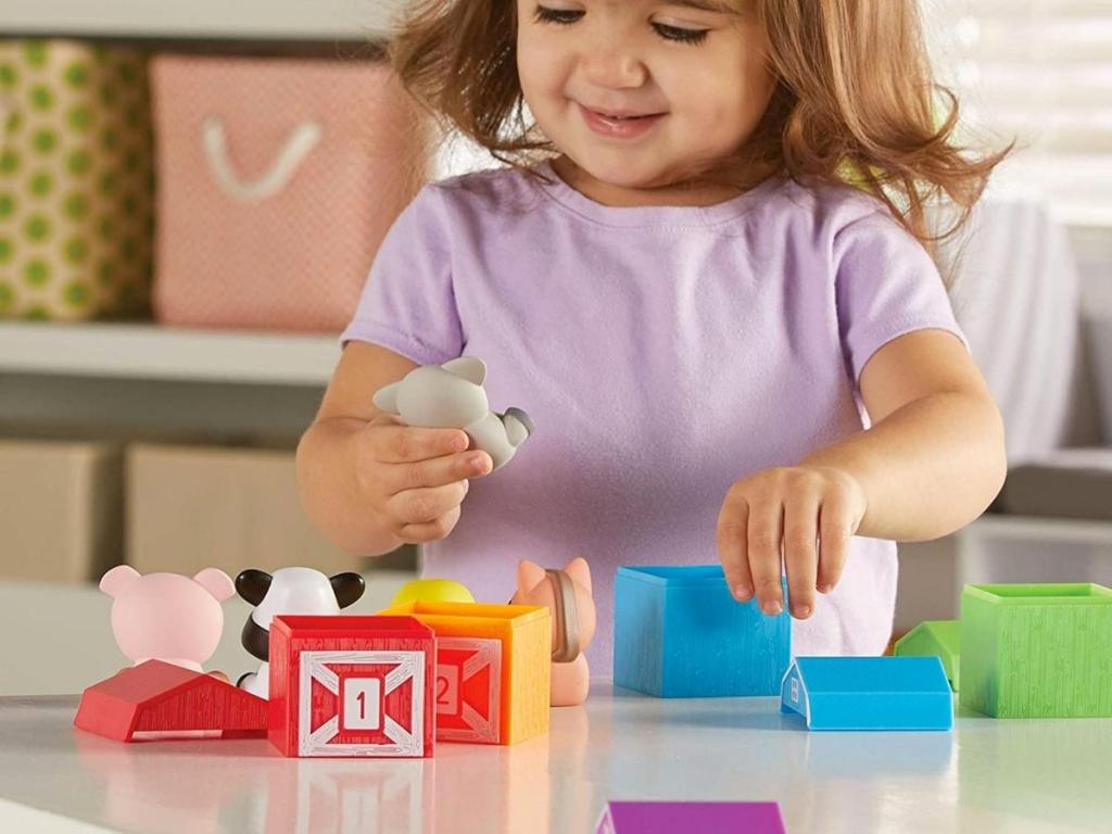 Learning Resources Peekaboo Learning Farm, Counting, Matching & Sorting Toy
