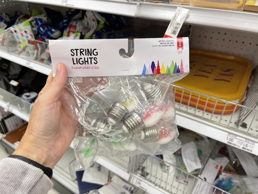 LED String Lights - hand holding package