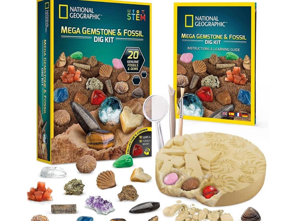 national geographic fossil and gemstone dig kit