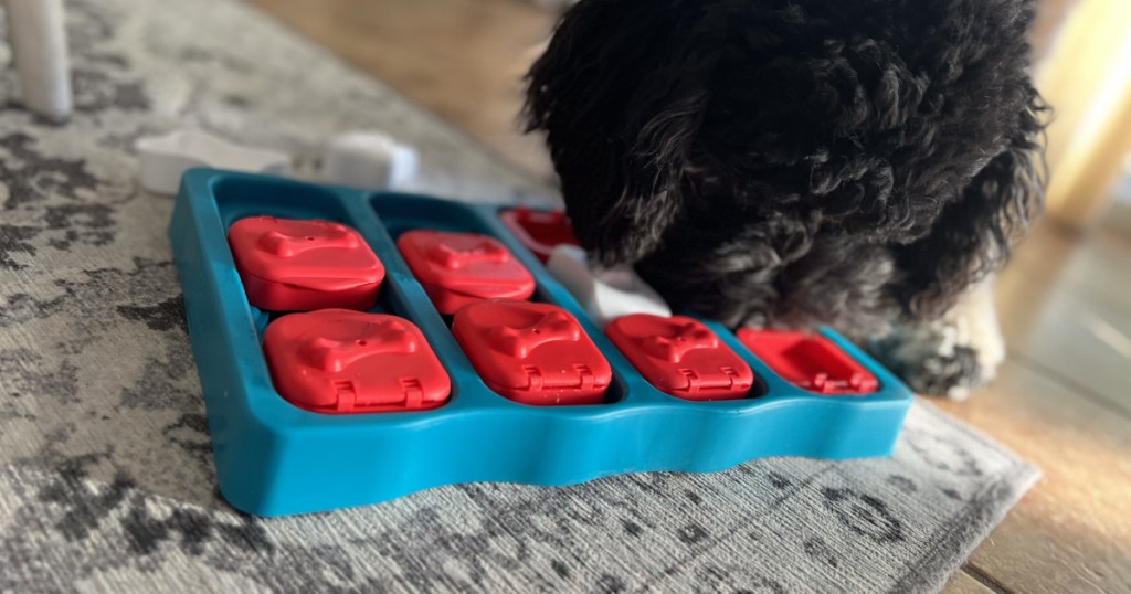 Outward Hound Interactive Puzzle Game Dog Toys - Dog Brick with pup