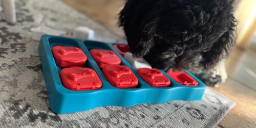 Outward Hound Dog Puzzle Toy Only $7 on Amazon (Regularly $28) | Over 85,000 5-Star Ratings