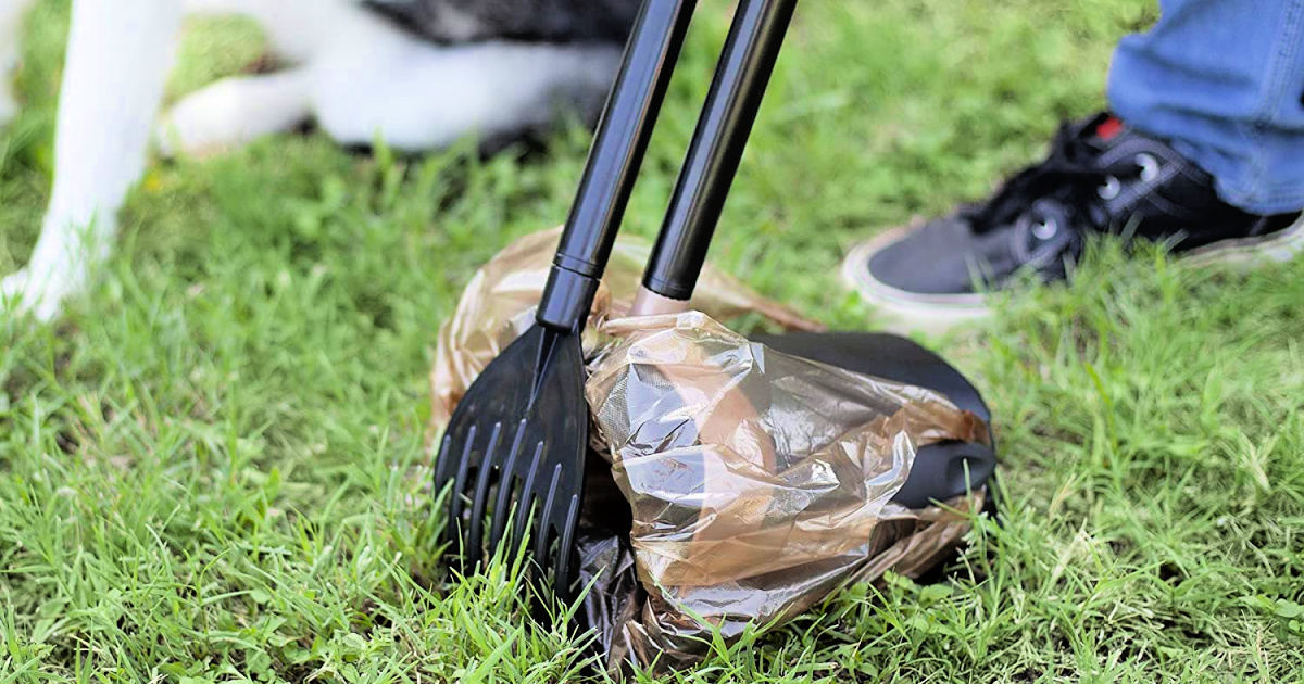 petmate arm & hammer