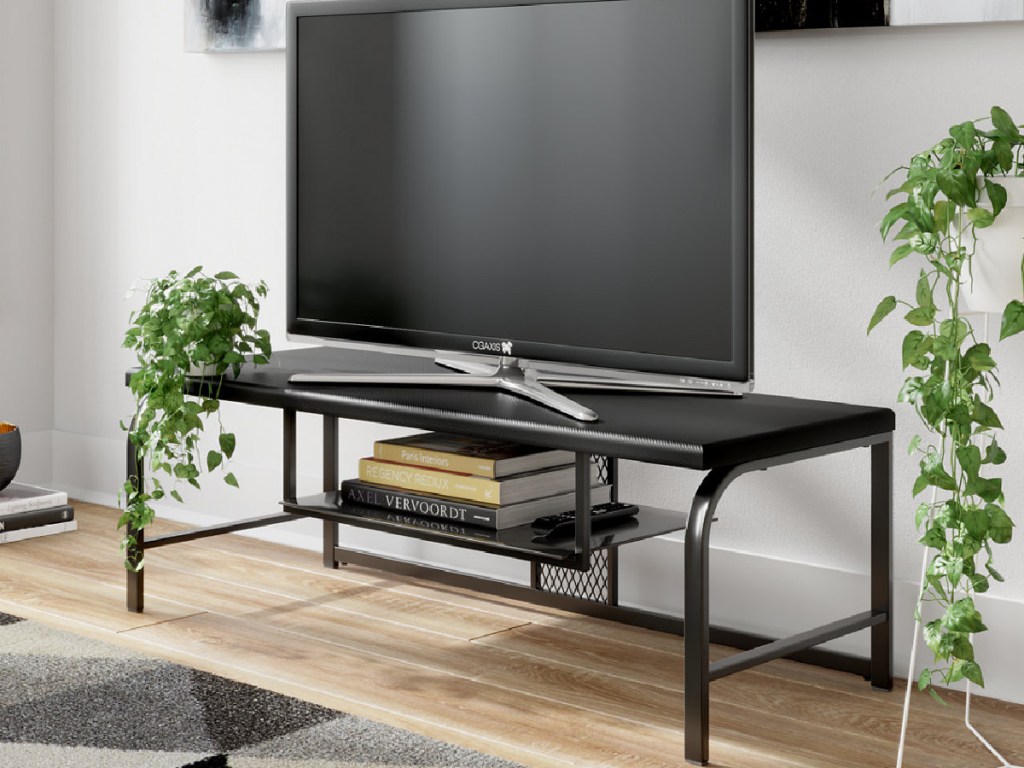 TV stand with plant and books on it