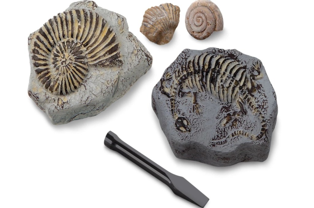 Toy Excavation Kit Mini Fossil 2 Pieces