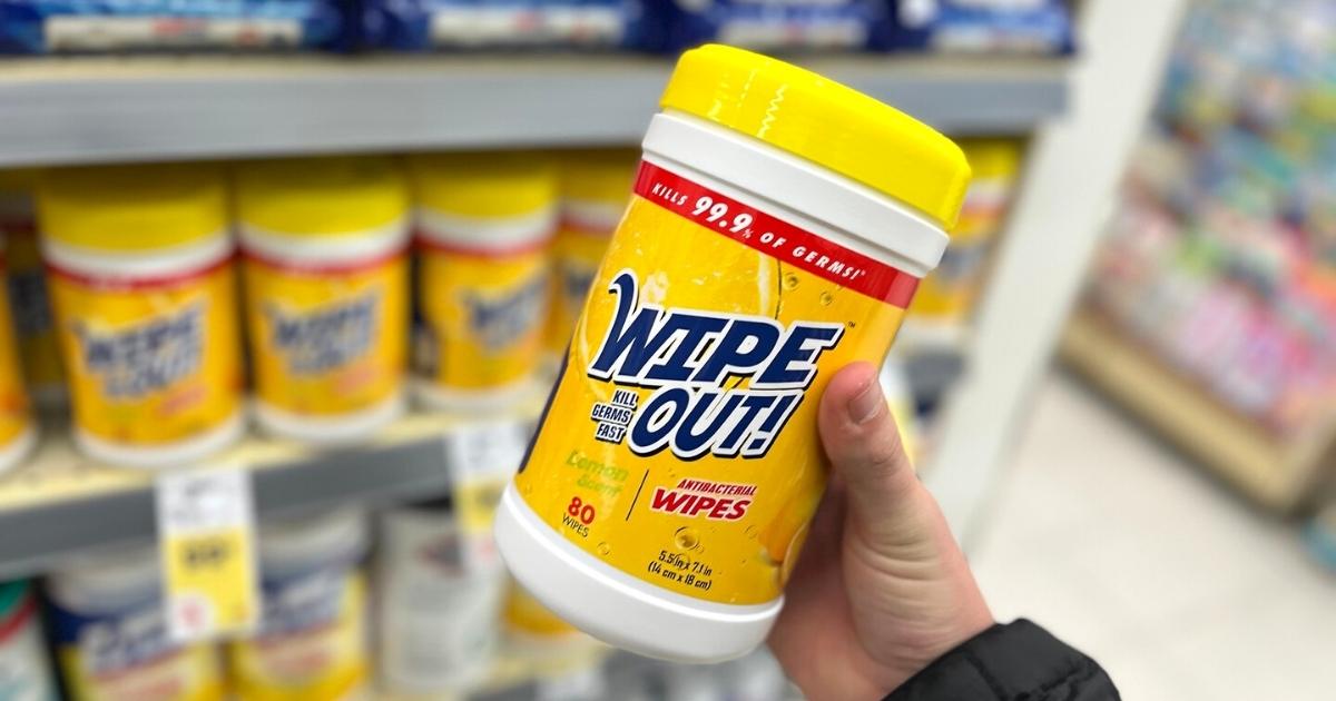 Wipe Out! Antibacterial Wipes 80-Count
