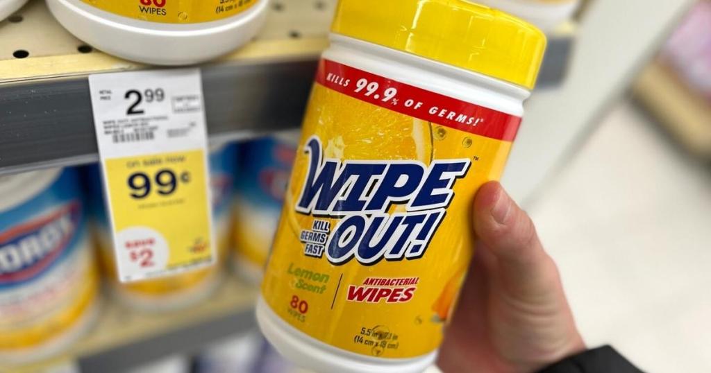 Wipe Out! Antibacterial Wipes 80-Count