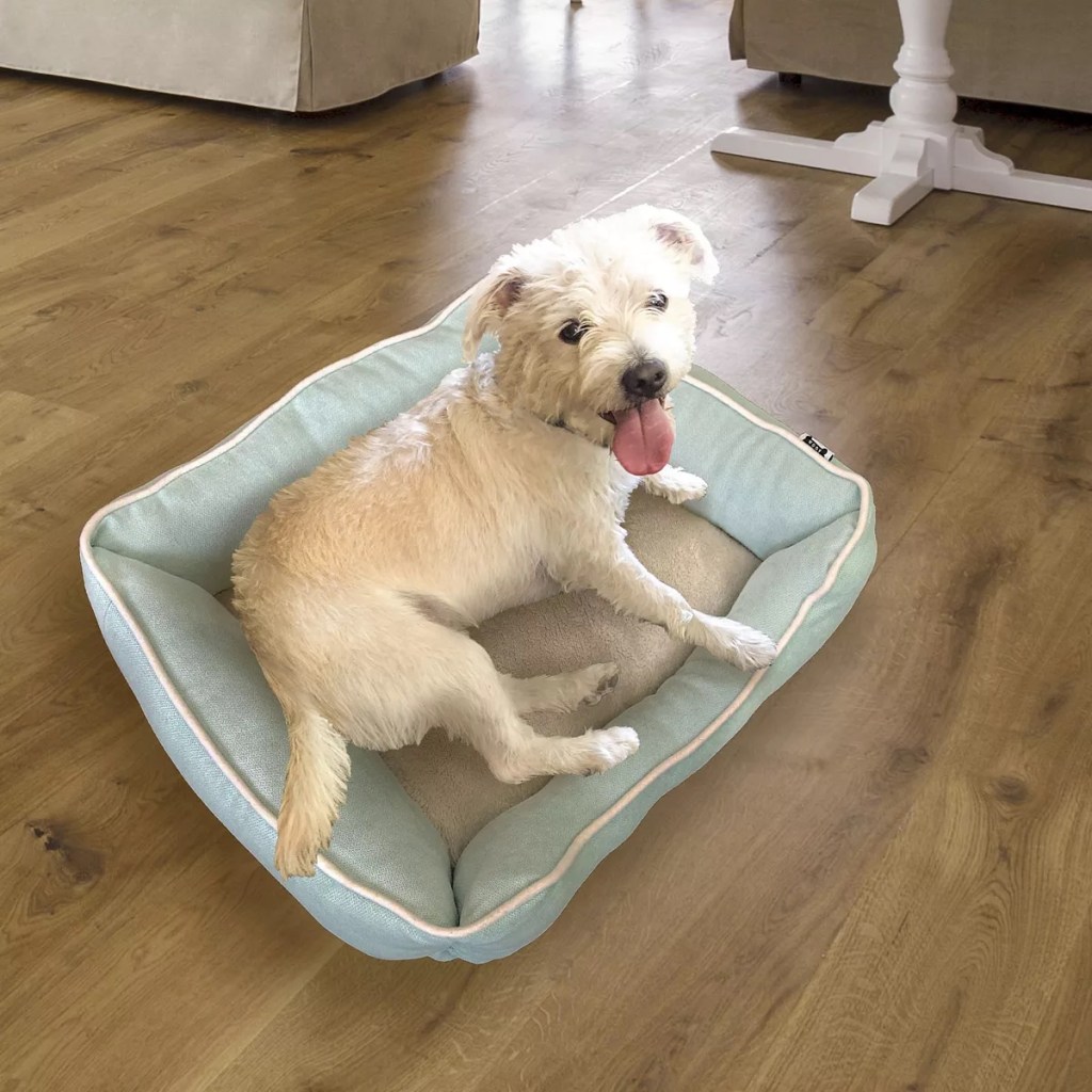 Dog laying in Woof Chenille Pet Bed