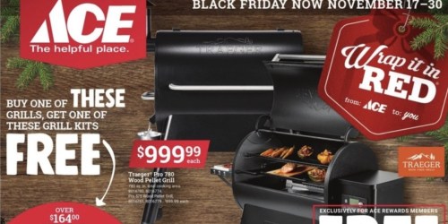 Ace Hardware Black Friday 2022 Deals Coming Soon | Save on Tools, Christmas Trees & More