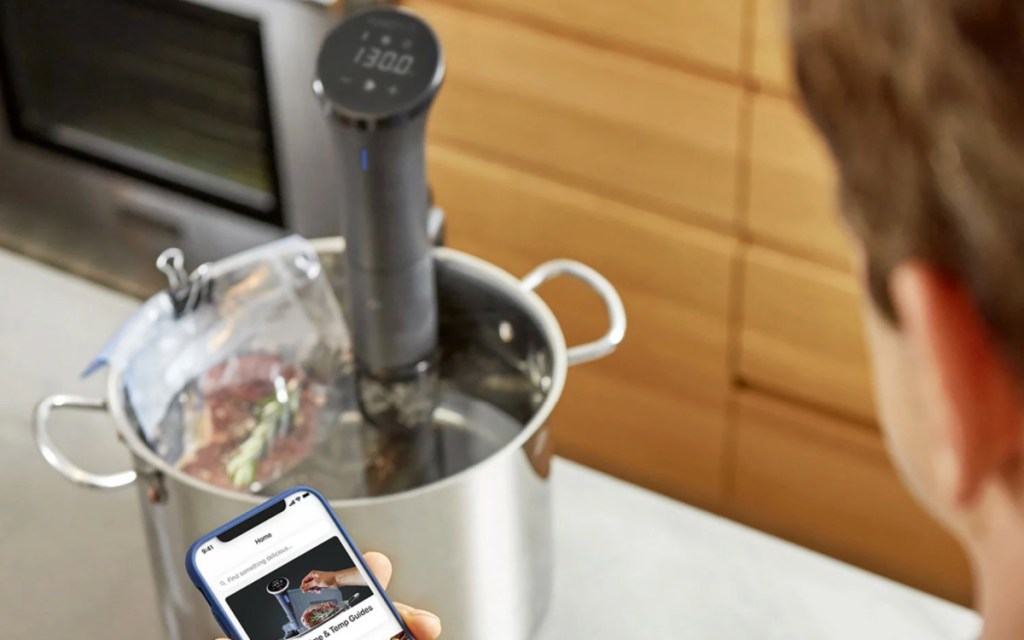 anova sous vide cooker