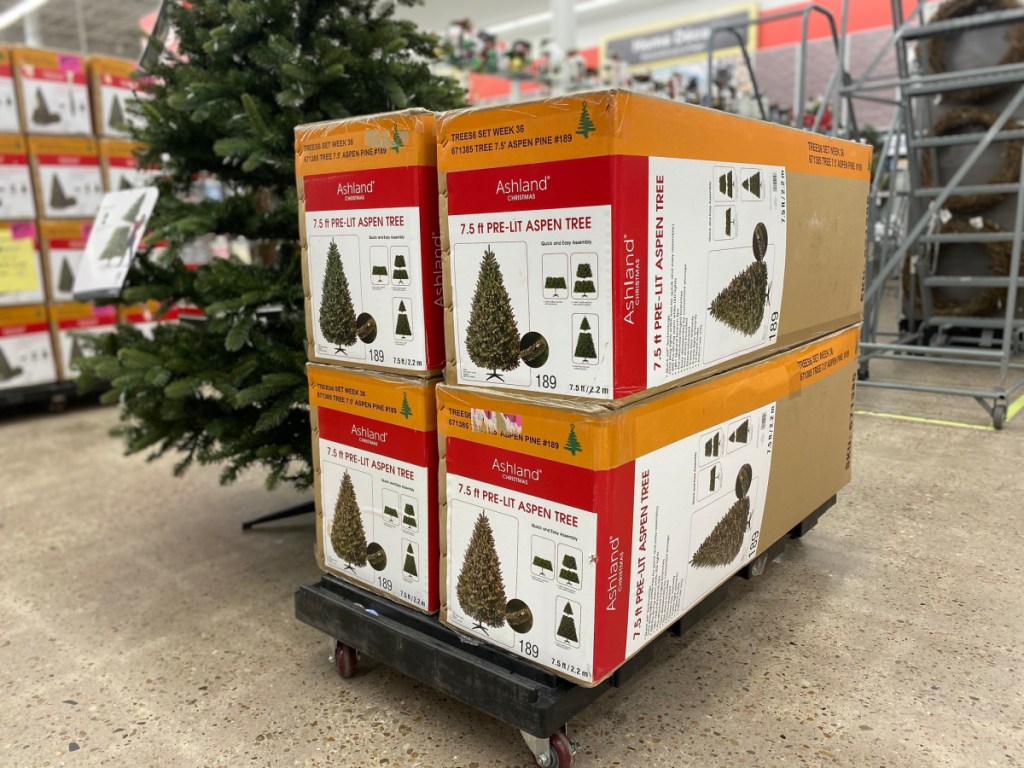 christmas tree box in store