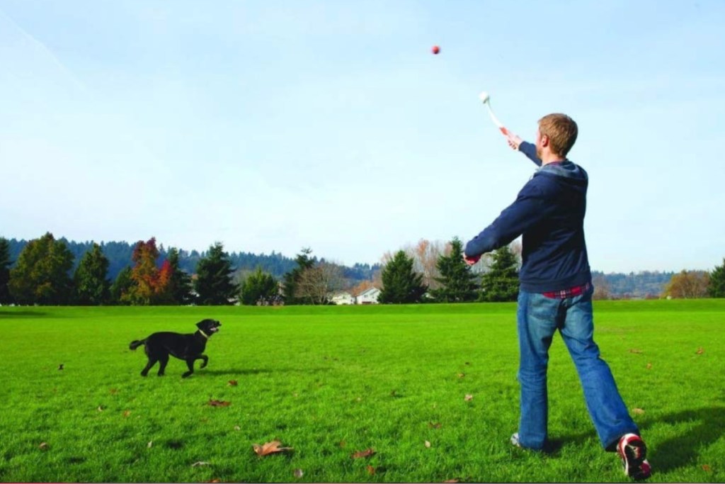 man throwing ball with dog