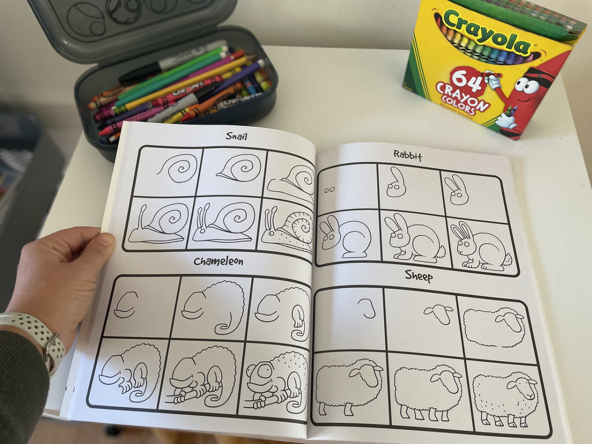 How to Draw 101 Animals Paperback Book Only $3.29 on Amazon (Regularly $5)