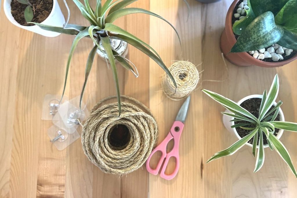 sisal and jute ropes, scissors, hooks, and plants on table