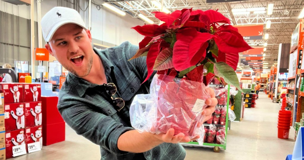 man holding poinsettia at home depot