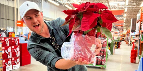 Live Poinsettias ONLY $1.98 at Home Depot (Regularly $5) | Easy Hostess Gift Idea