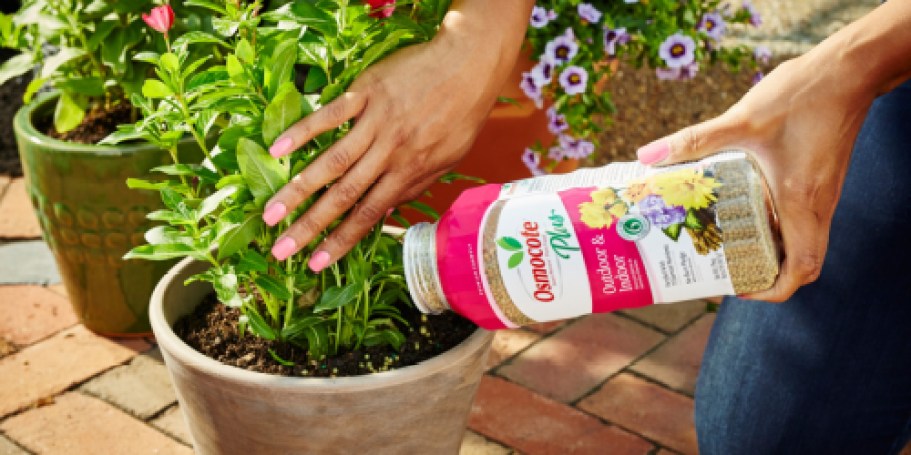 Osmocote Plus Plant Food Only $9 Shipped on Amazon | Feeds Up to 6 Months