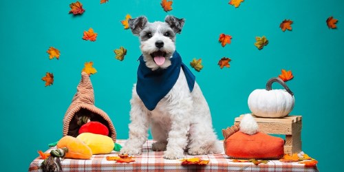 Register for PetSmart’s Pupsgiving Playdate on 11/18 | Free Games, Doggy Sundaes, Keepsake Photos & More!
