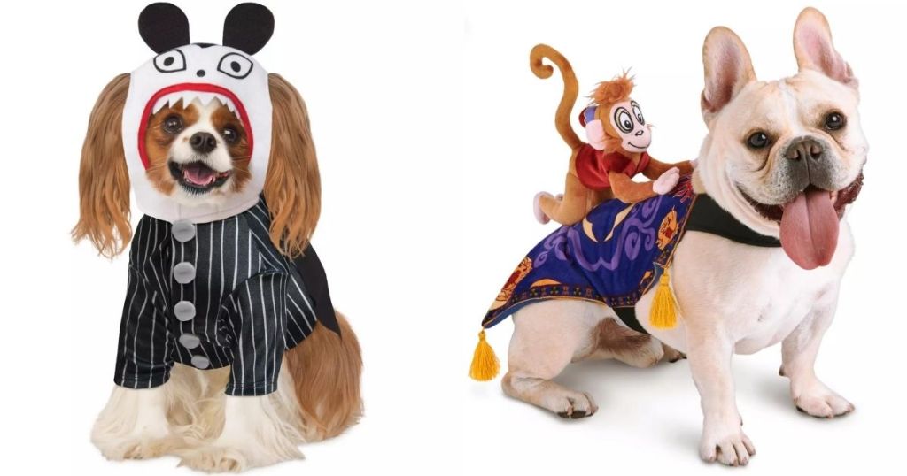 dog pet costumes