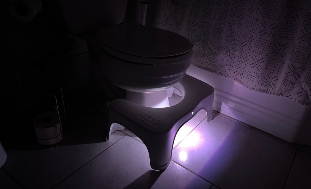 stool in front of toilet in dark bathroom with light on