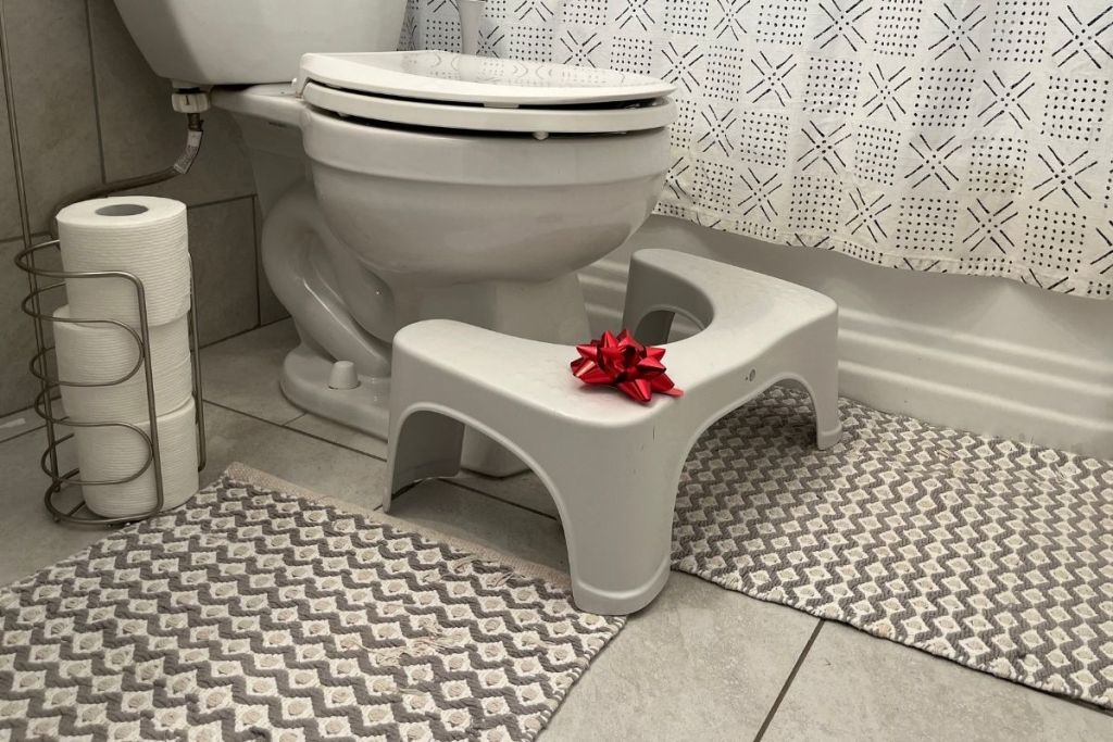 Bathroom stool under toilet wit red bow