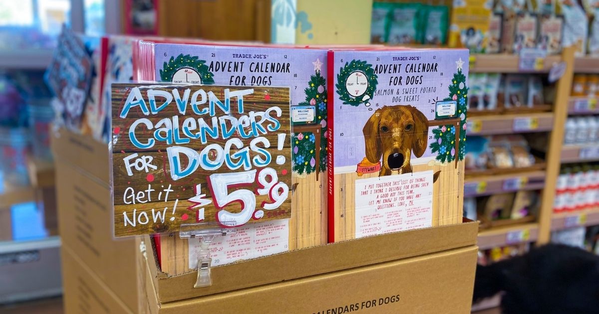 Details about   Trader Joe's Advent Calendar for Dogs 
