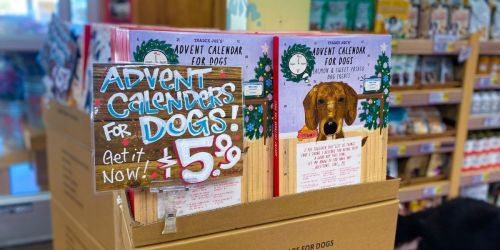 Trader Joe’s Has Dog & Cat Treat Advent Calendars for Only $5.99