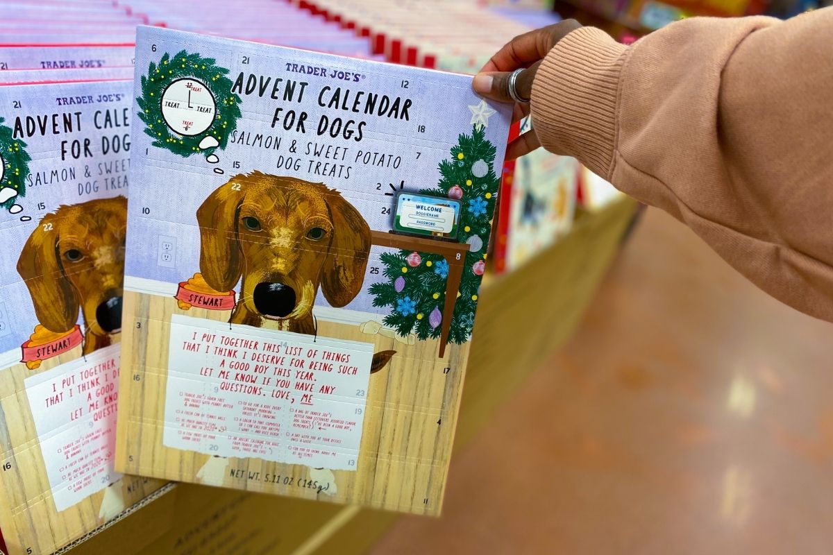 Trader joe's advent top calendar dog