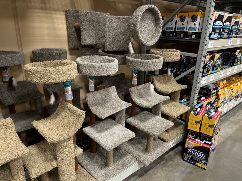 cat towers stacked up on display inside store