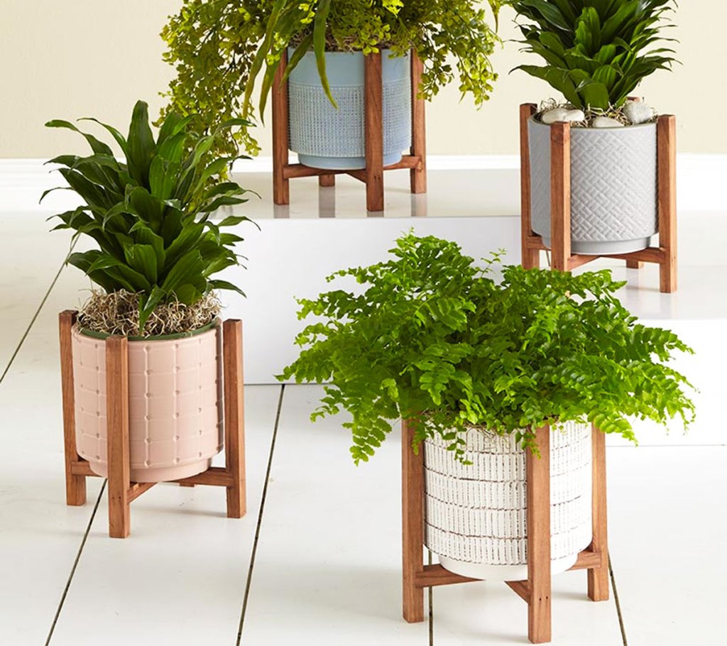 ceramic planters on wood stands
