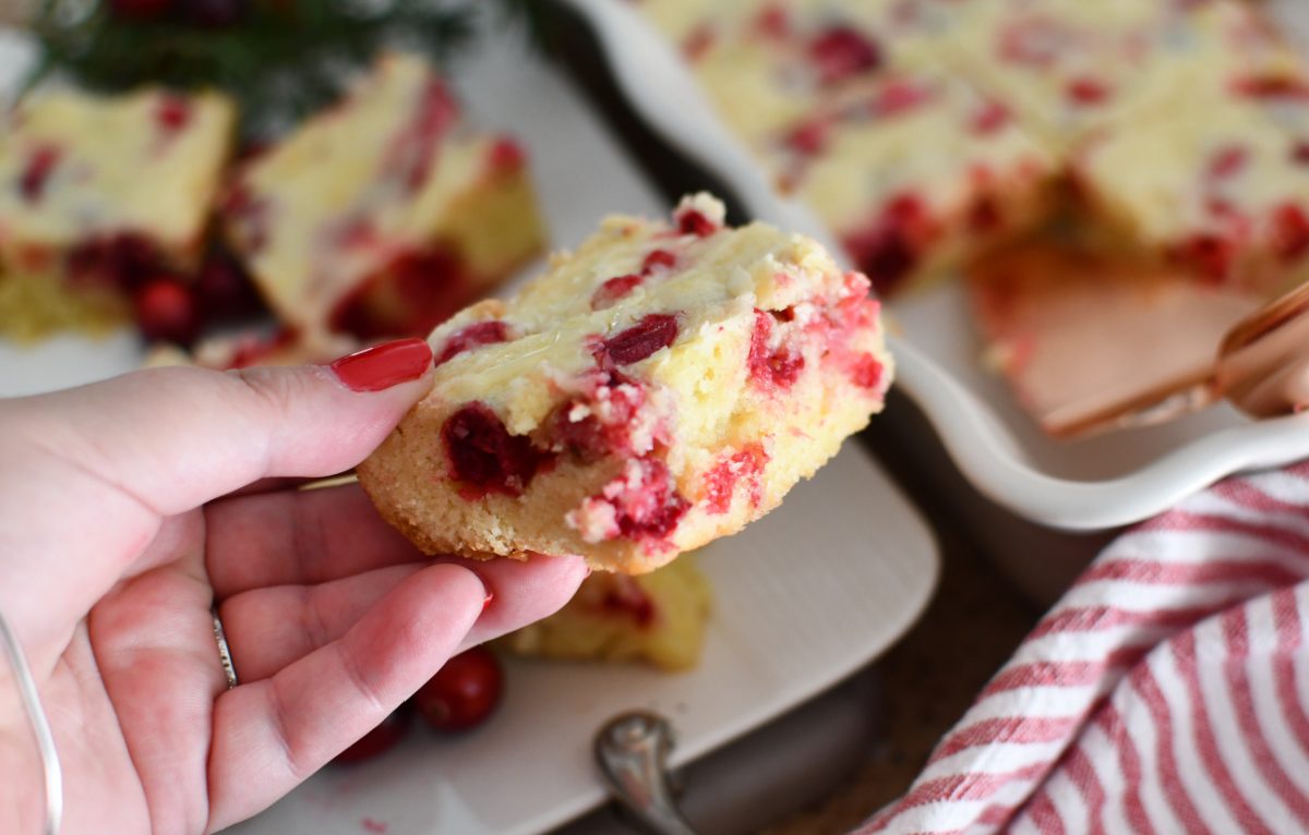 Our Team-Favorite Cranberry Christmas Cake Recipe is Perfect for a Holiday Brunch!