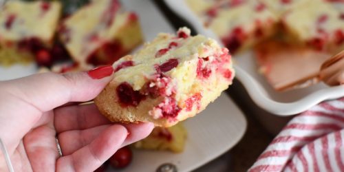 Our Team-Favorite Cranberry Christmas Cake Recipe is Perfect for a Holiday Brunch!