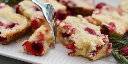 Our Team-Favorite Cranberry Christmas Cake Recipe is Perfect for a Holiday Brunch!