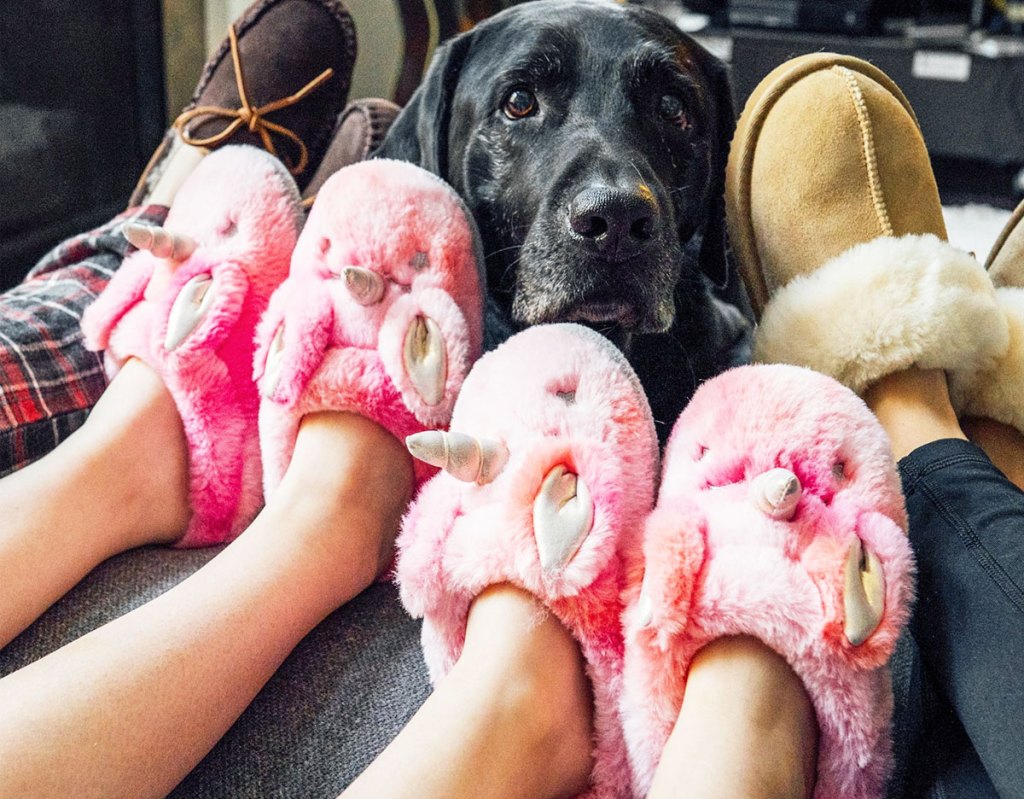 pink unicorn slippers next to dog