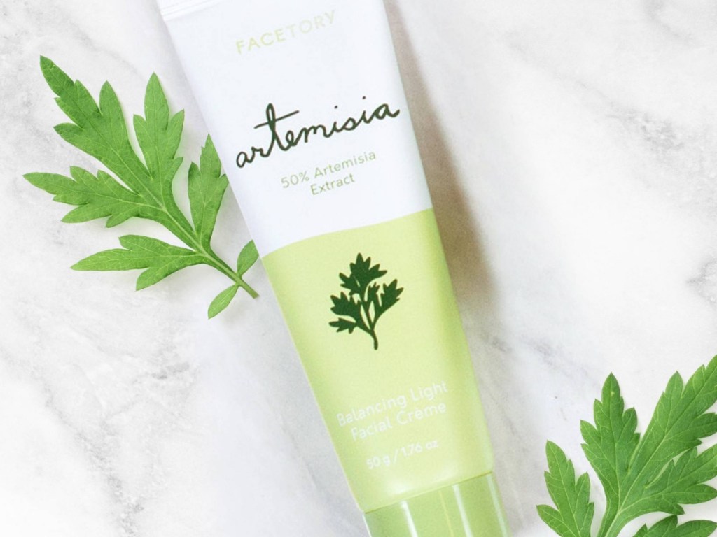 Facetory Artemisia Balancing Light Facial Cream - 1.69 fl oz 