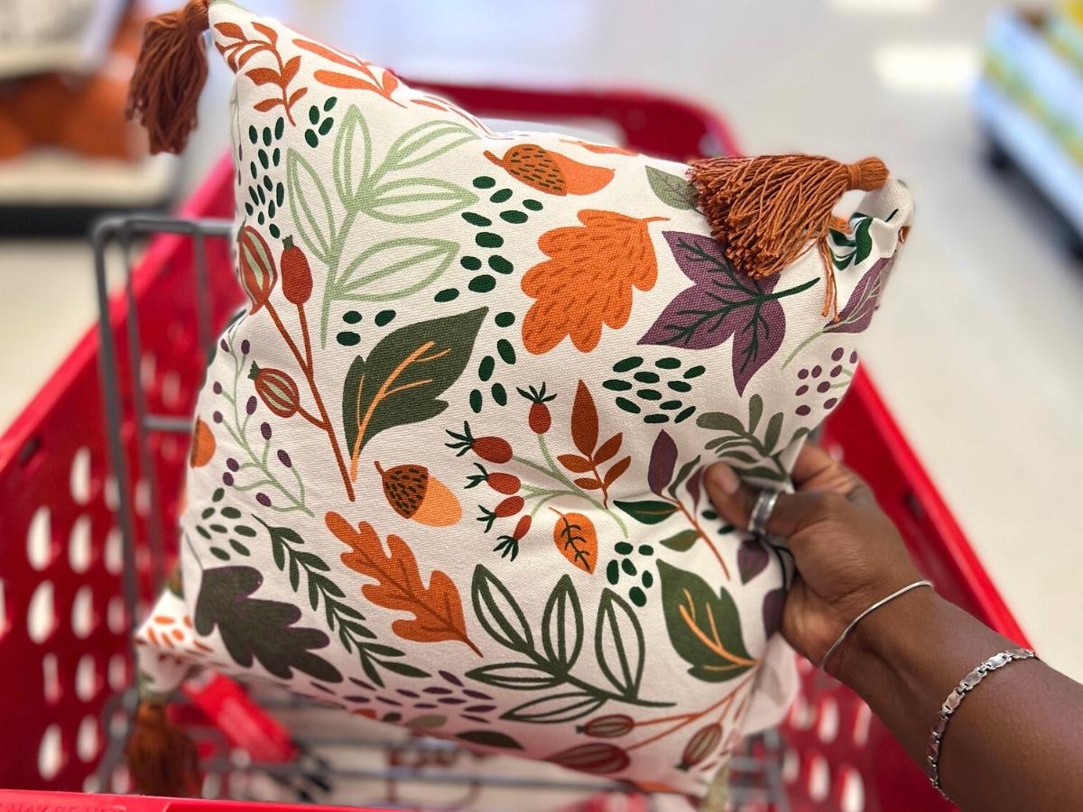 Target top fall pillows