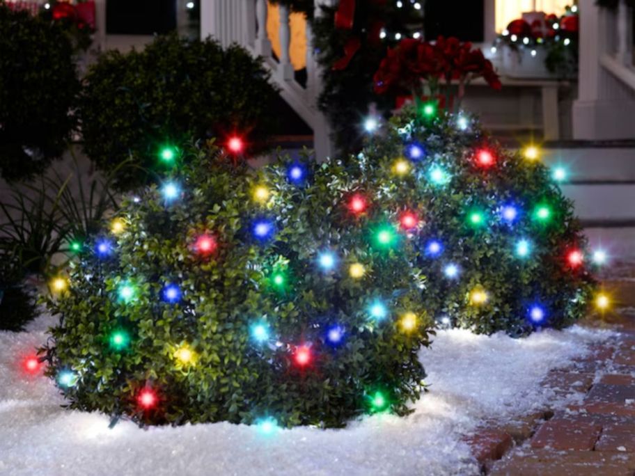 bushes with multicolored lights on them