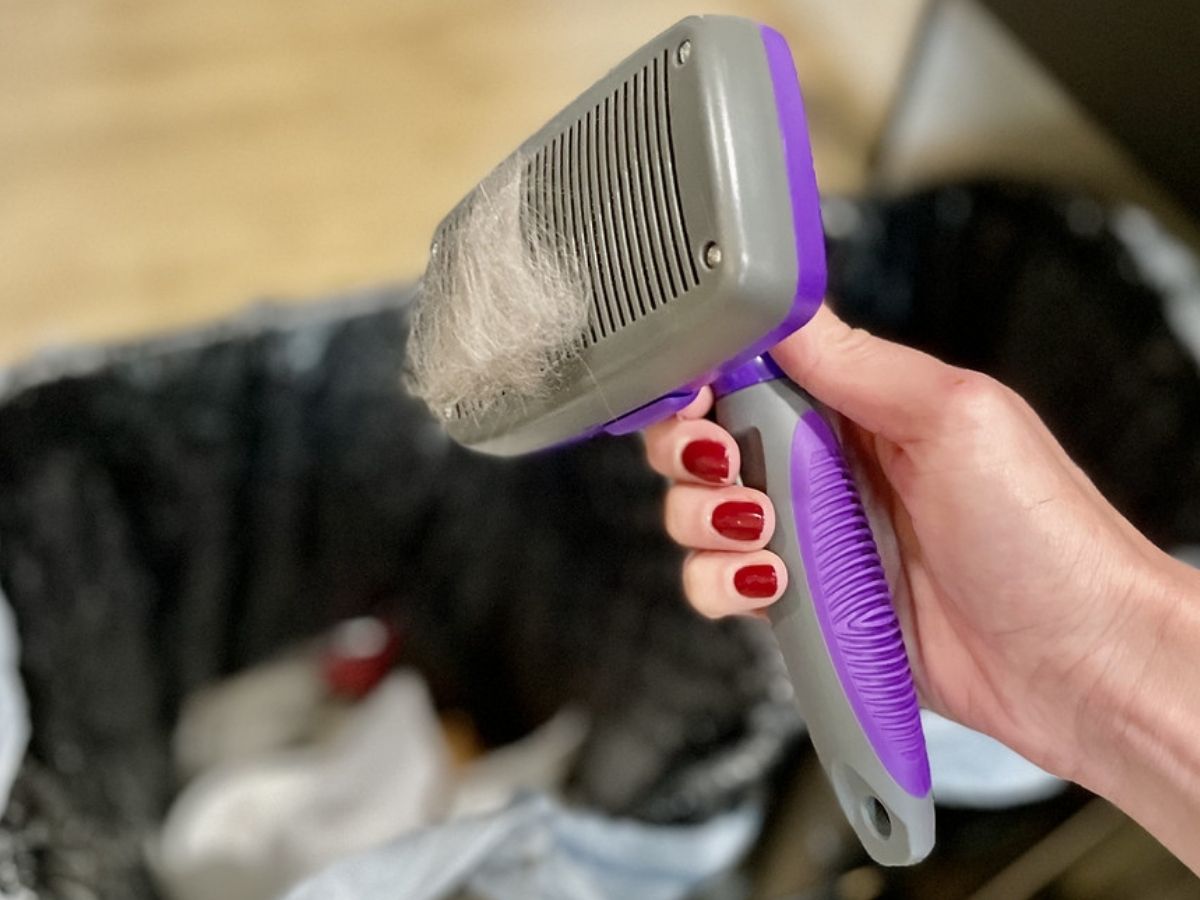 HERTZKO Self-Cleaning Slicker Brush 