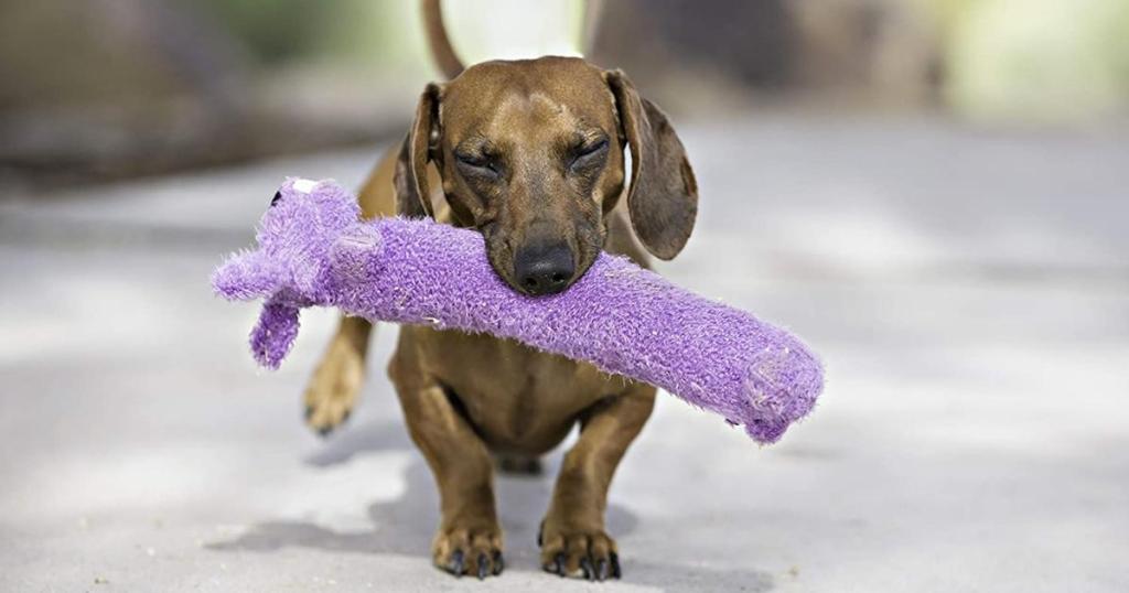 dog carrying loofa dog plush dog toy in purple