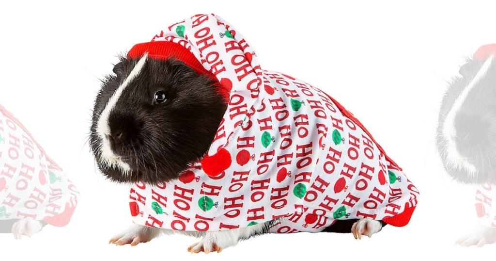 Merry & Bright Guinea Pig Christmas Costumes