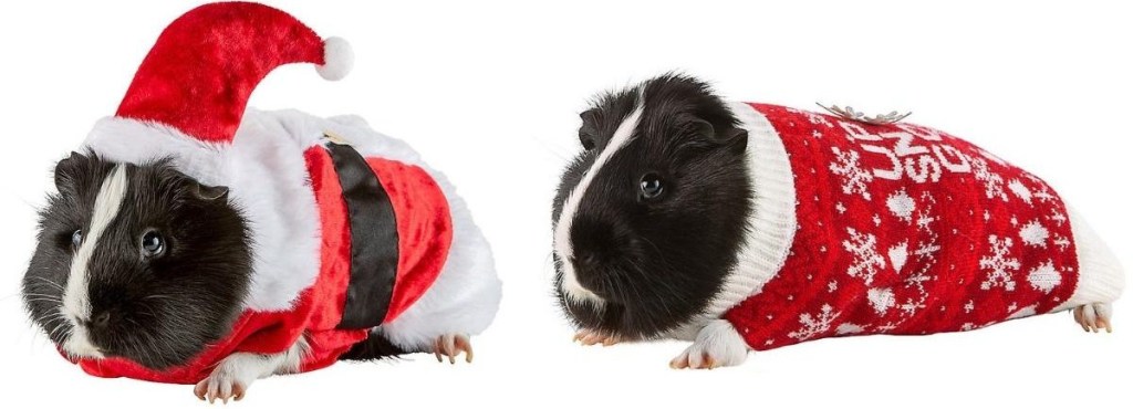 Merry Bright Guinea Pig Costumes