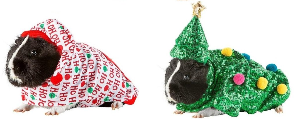 Merry Bright Pig Costumes