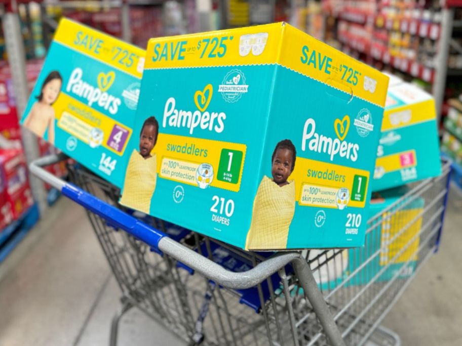 Sam's Club shopping cart full of boxes of Pampers Swaddlers Diapers