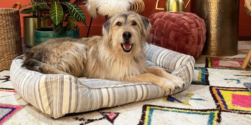 Buy 1, Get 1 Free Dog & Cat Beds on PetSmart.com | Prices from $5.99 Each