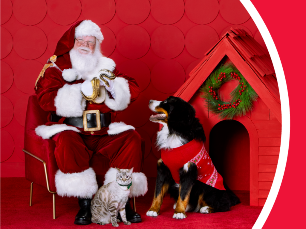 Santa with pets