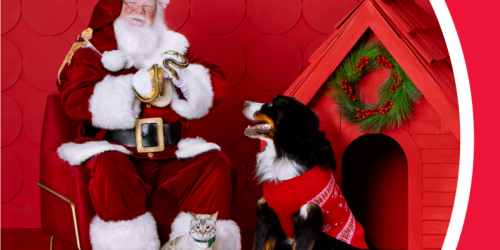 FREE PetSmart Santa Photos on December 16th & 17th (Make Your Reservation NOW)