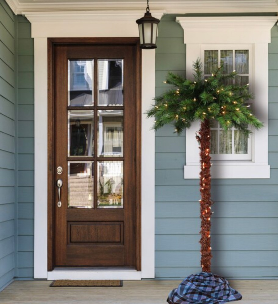 palm tree with lights on front porch of southern looking home