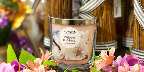 Sonoma Goods for Life 3-Wick Candles from $4.99 Each w/ Free Kohl’s Pickup (Regularly $16)