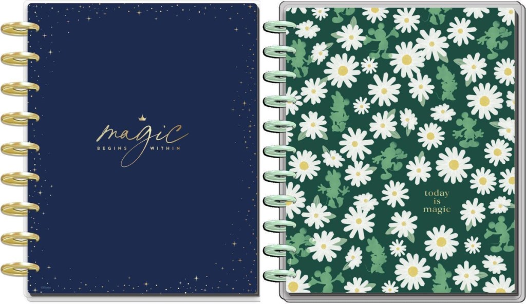 The Happy Planner Princess Magic Begins Within 12-Month Planner & Disney Daily Big Sized Notebook