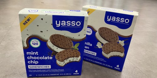 Yasso Frozen Yogurt Sandwiches Only 89¢ at Target After Cash Back (Regularly $5) | Just Use Your Phone